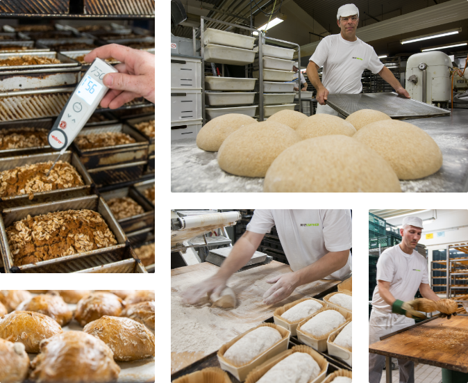 Vollkornbäckerei Brotgarten Kiel  - Ausbildung in der Backstube